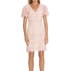 Shoshanna Ezmerelda V-Neck Lace Dress Pink Size 10